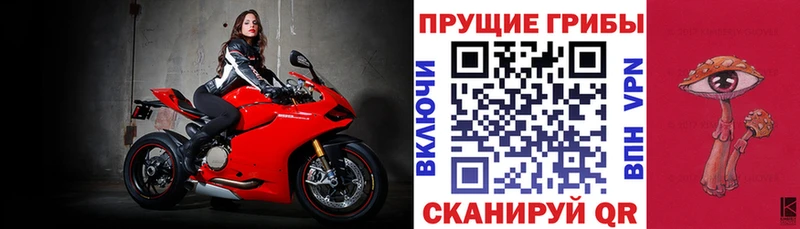 Купить где Волоколамск Псилоцибиновые грибы прущие грибы